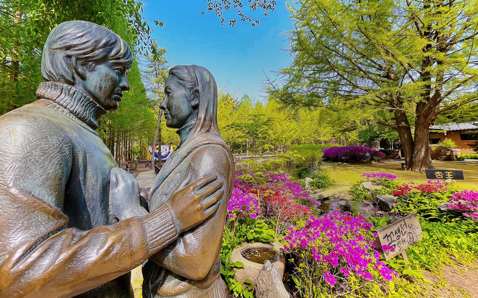 Nami Island Admission Ticket with Transfers in Seoul - Highlights | TickYourList