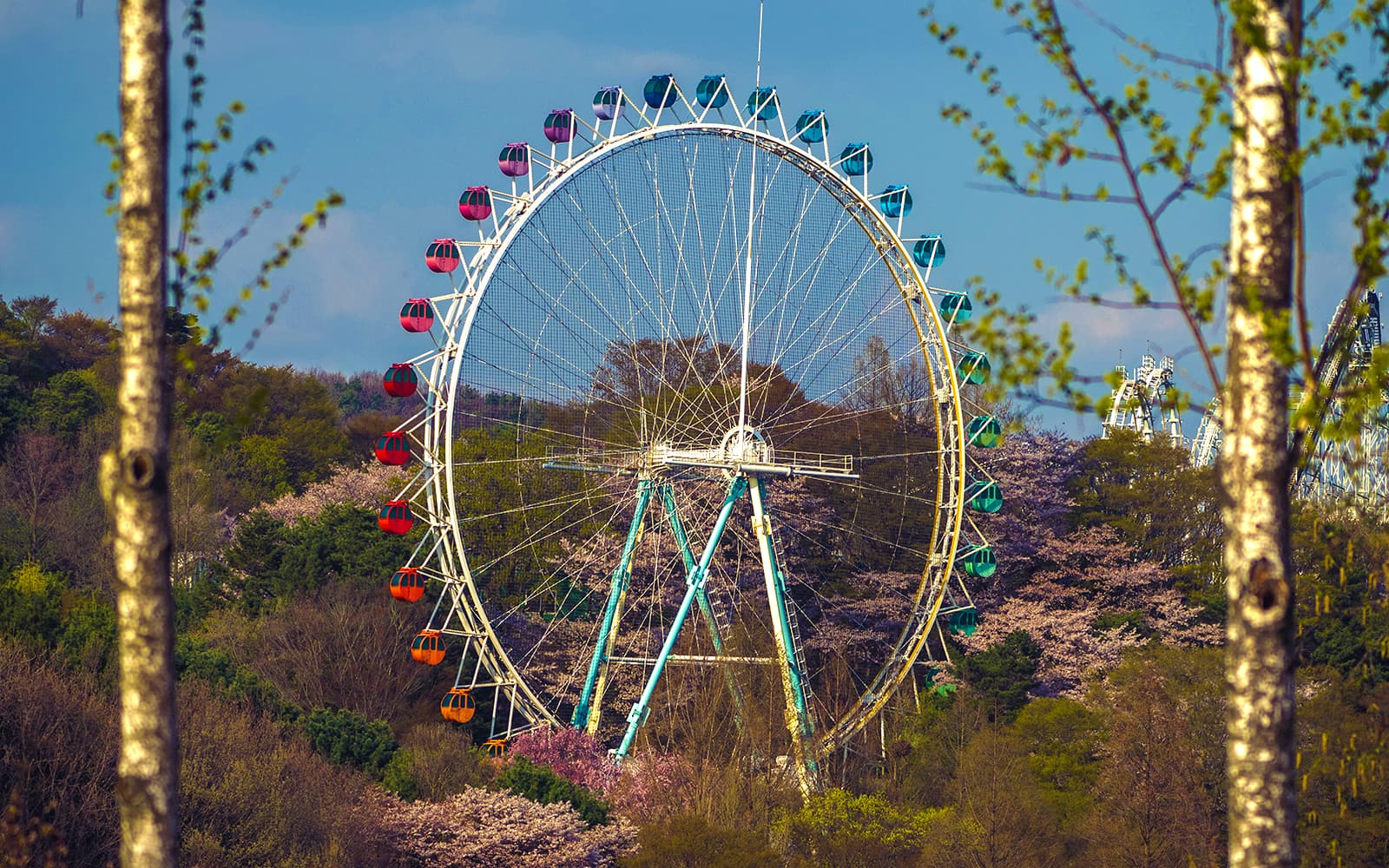 Everland Tickets with Round-Trip Transfers