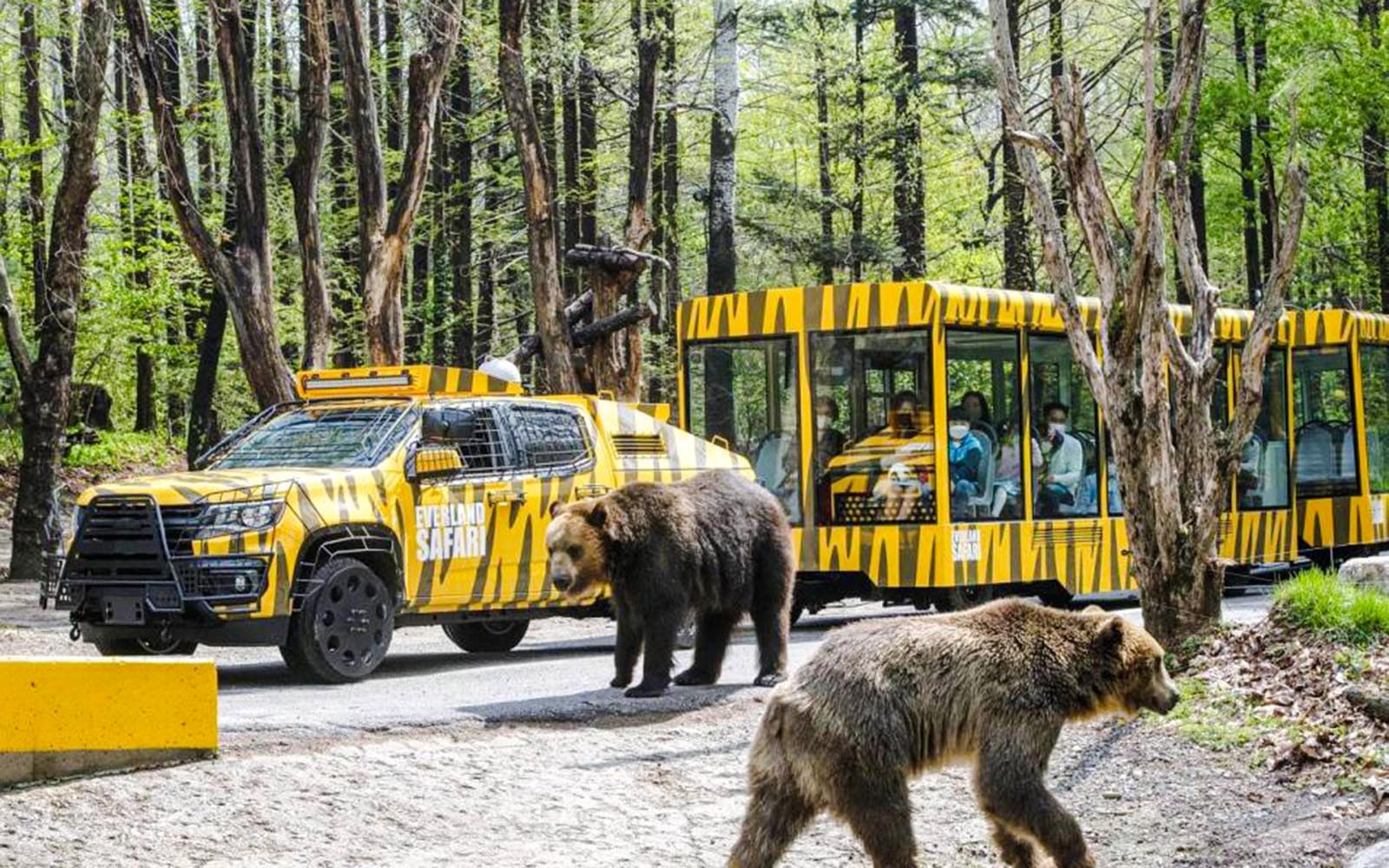 Everland Tickets with Round-Trip Transfers in Seoul - Attractions | TickYourList