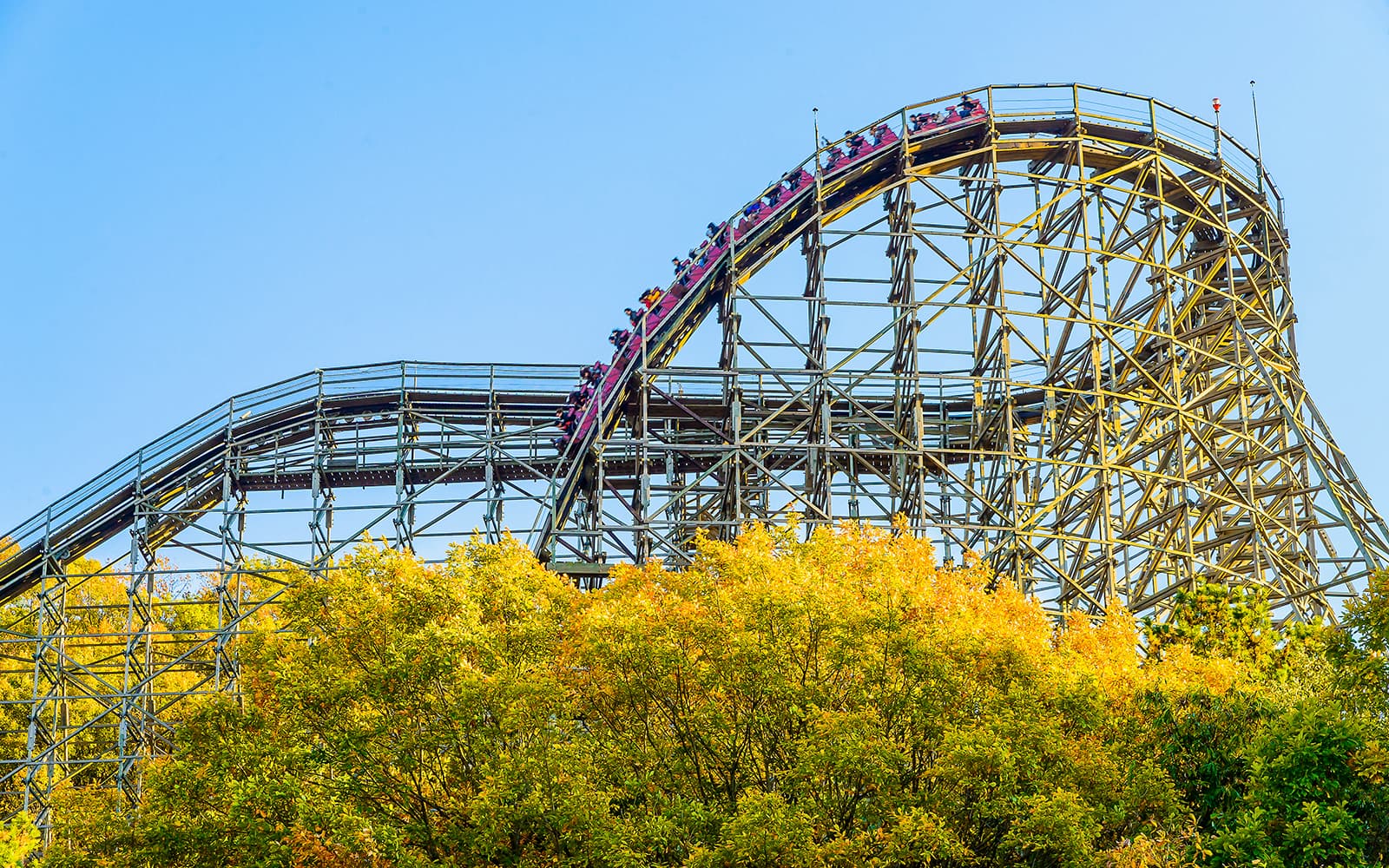 Everland Tickets with Round-Trip Transfers in Seoul - Activities | TickYourList