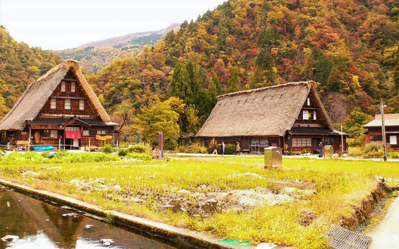 Round Trip Bus Tour of Shirakawa-go & Takayama from Nagoya experience tickets in Nagoya | TickYourList