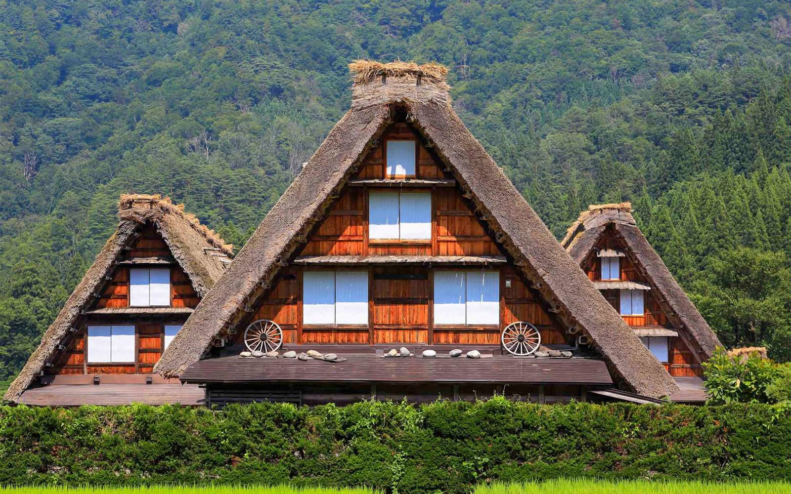 Round Trip Bus Tour of Shirakawa-go & Takayama from Nagoya tickets in Nagoya - Activities | TickYourList