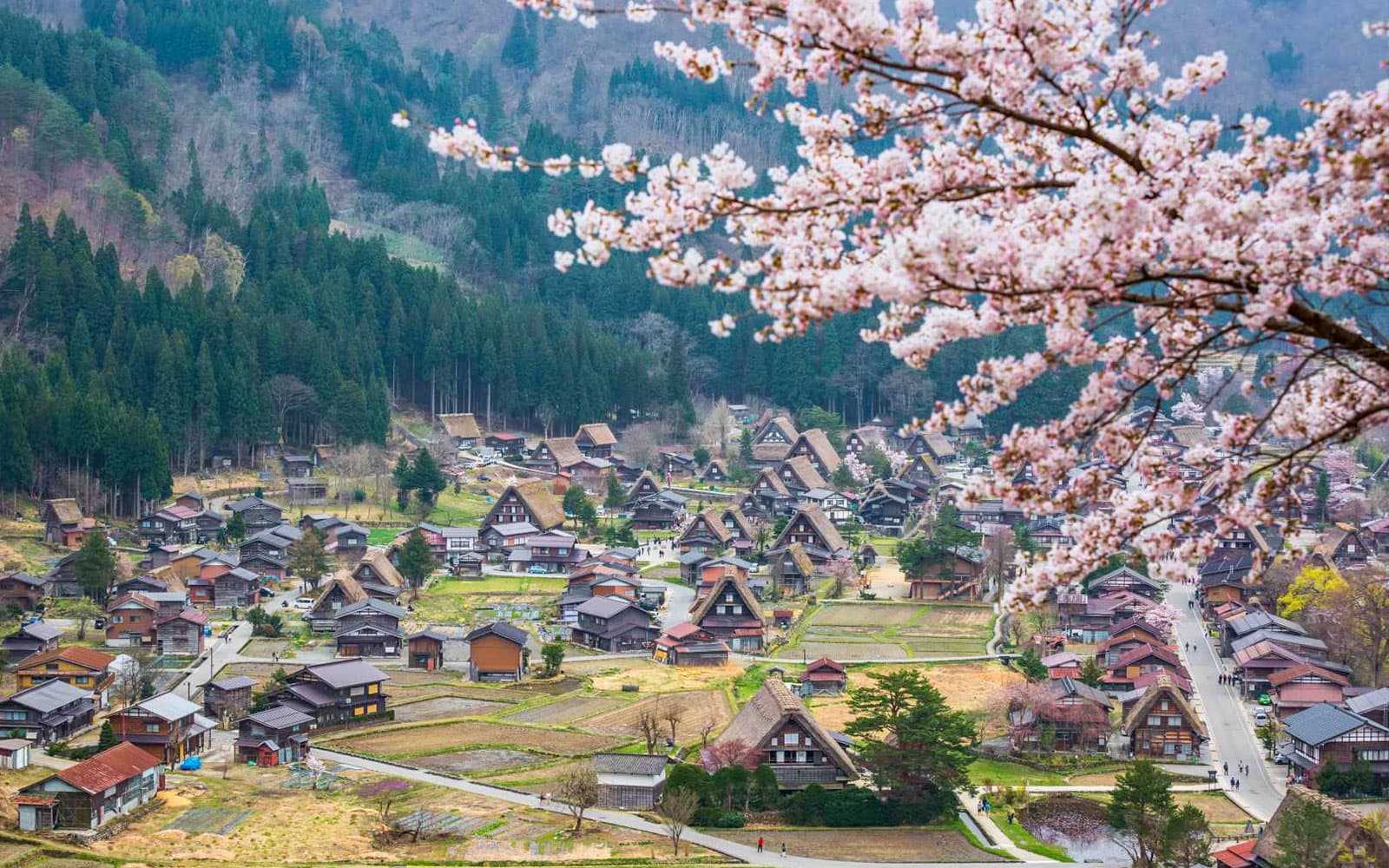 Round Trip Bus Tour of Shirakawa-go & Takayama from Nagoya tickets in Nagoya - Highlights | TickYourList