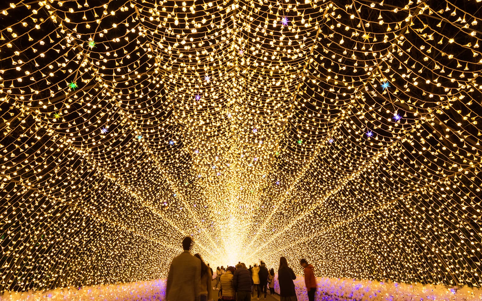 Nabana no Sato Illuminations and Nagashima Outlet Mall Tour from Nagoya