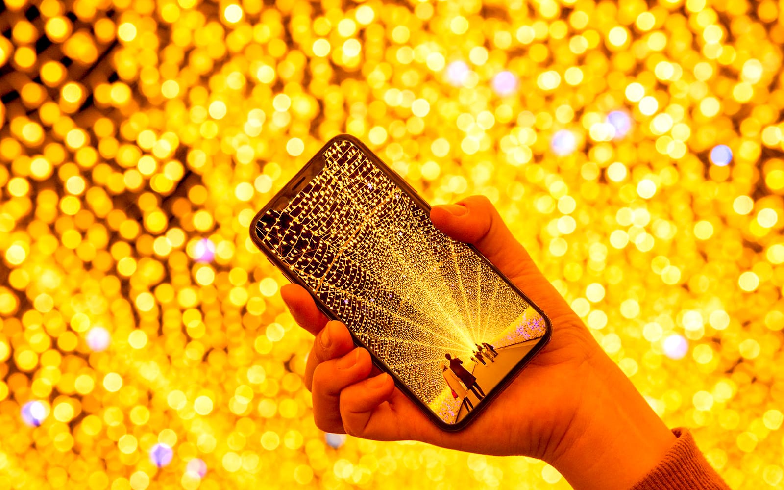 Nabana no Sato Illuminations and Nagashima Outlet Mall Tour from Nagoya tickets in Nagoya - Attractions | TickYourList