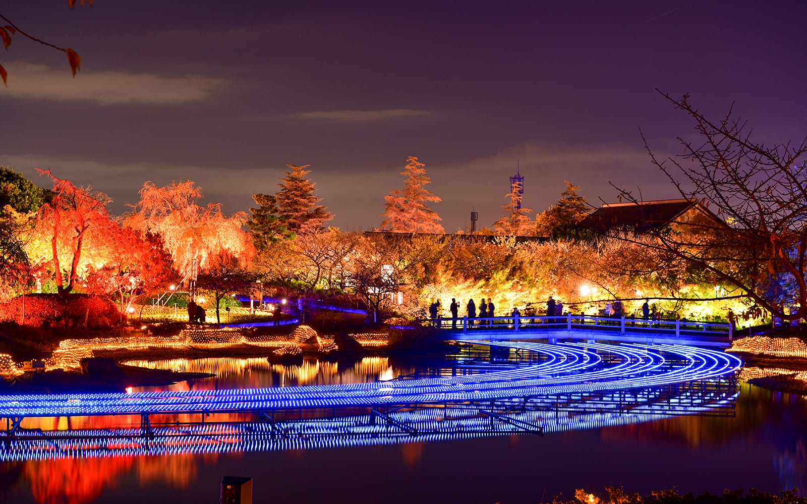 Nabana no Sato Illuminations and Nagashima Outlet Mall Tour from Nagoya tickets in Nagoya - Highlights | TickYourList