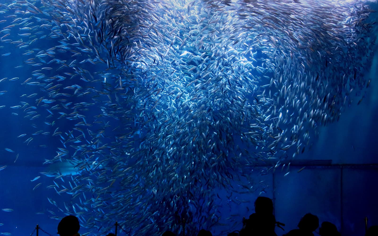 Tickets to Port of Nagoya Public Aquarium in Nagoya - Highlights | TickYourList
