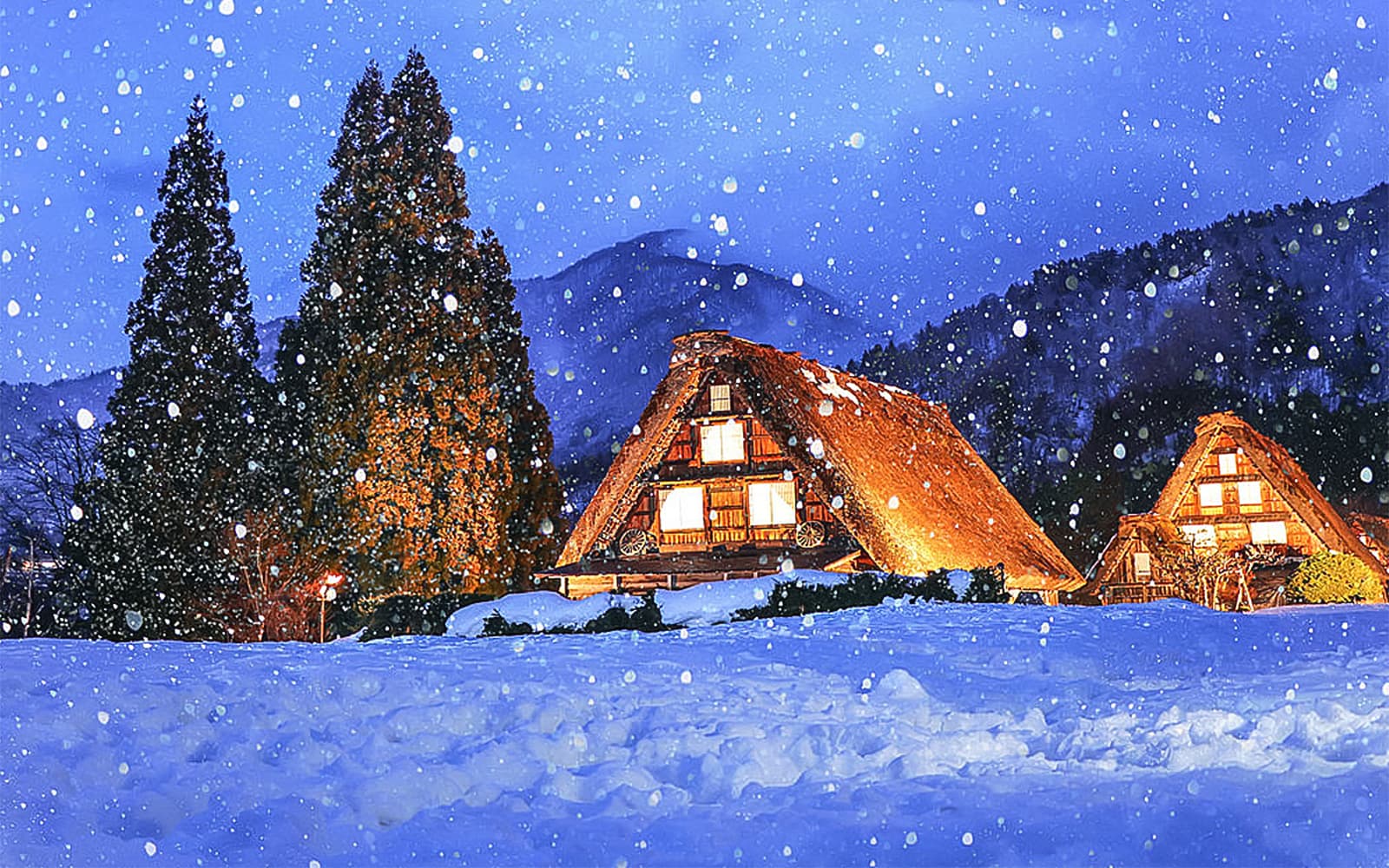 1-Day Guided Tour of Shiragawa-go and Takayama from Nagoya