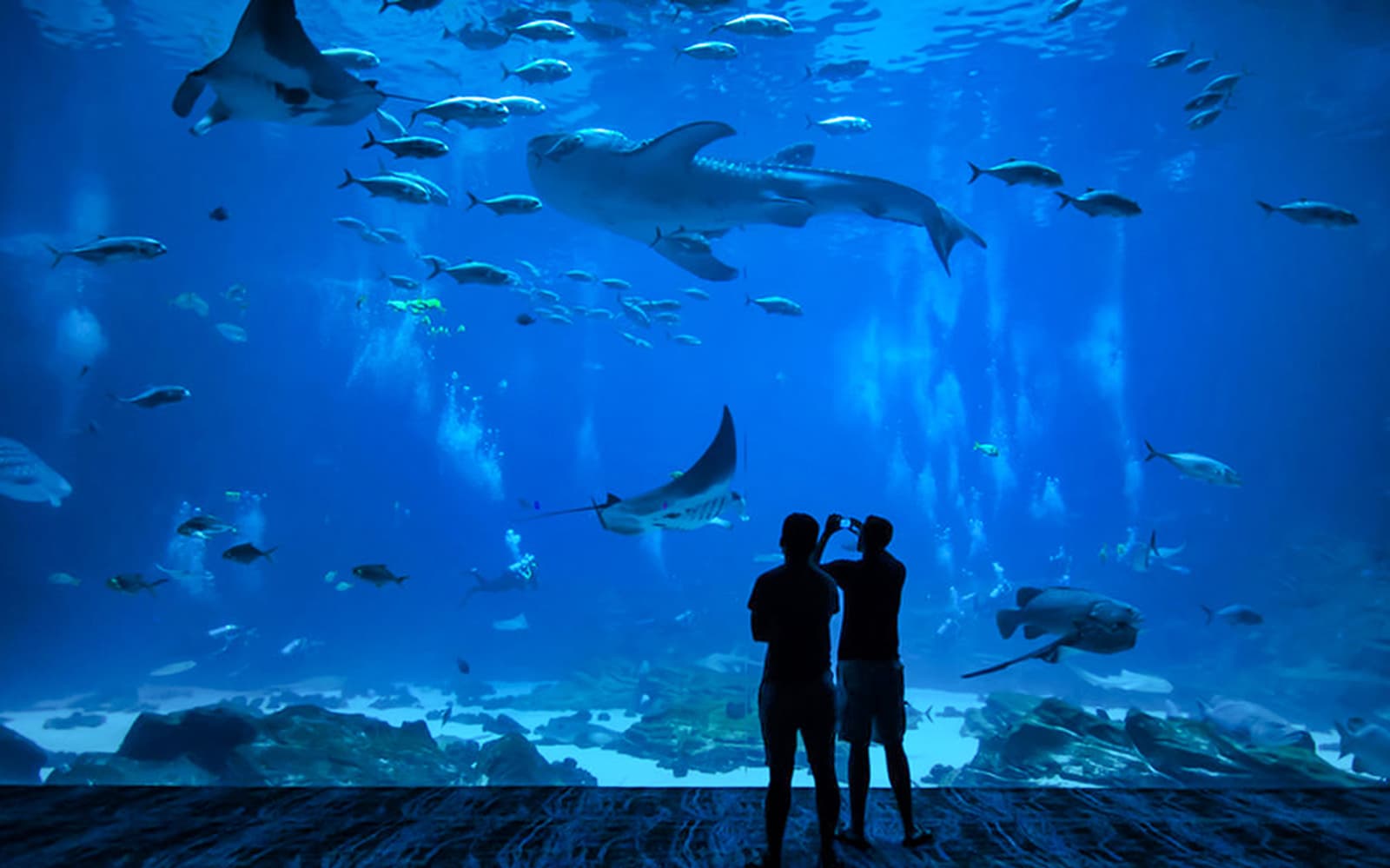 Ryukyu Mura Tickets with Optional Churaumi Aquarium Tickets in Okinawa - Activities | TickYourList
