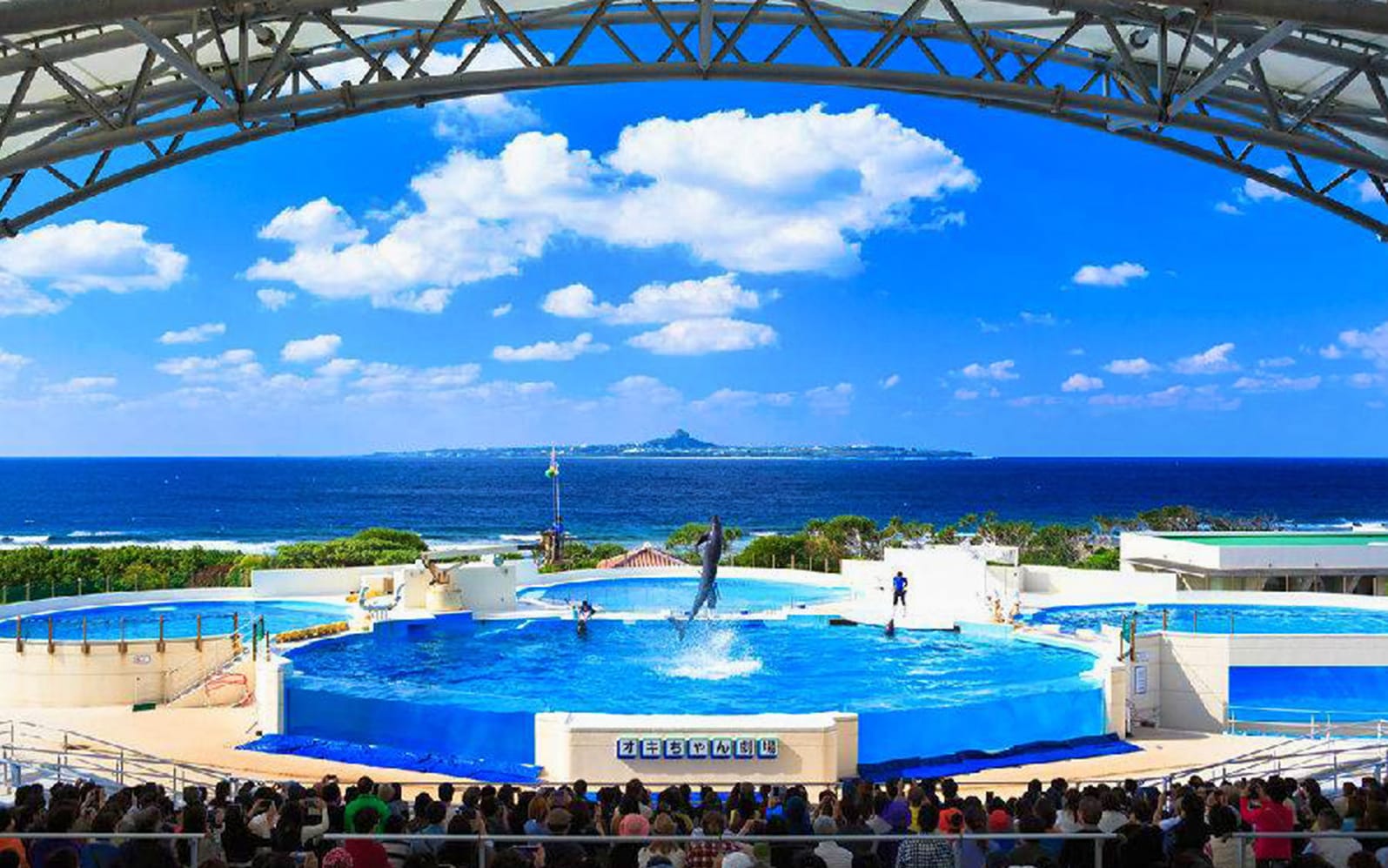 Okinawa Churaumi Aquarium Tickets - Physical Voucher in Okinawa - Activities | TickYourList