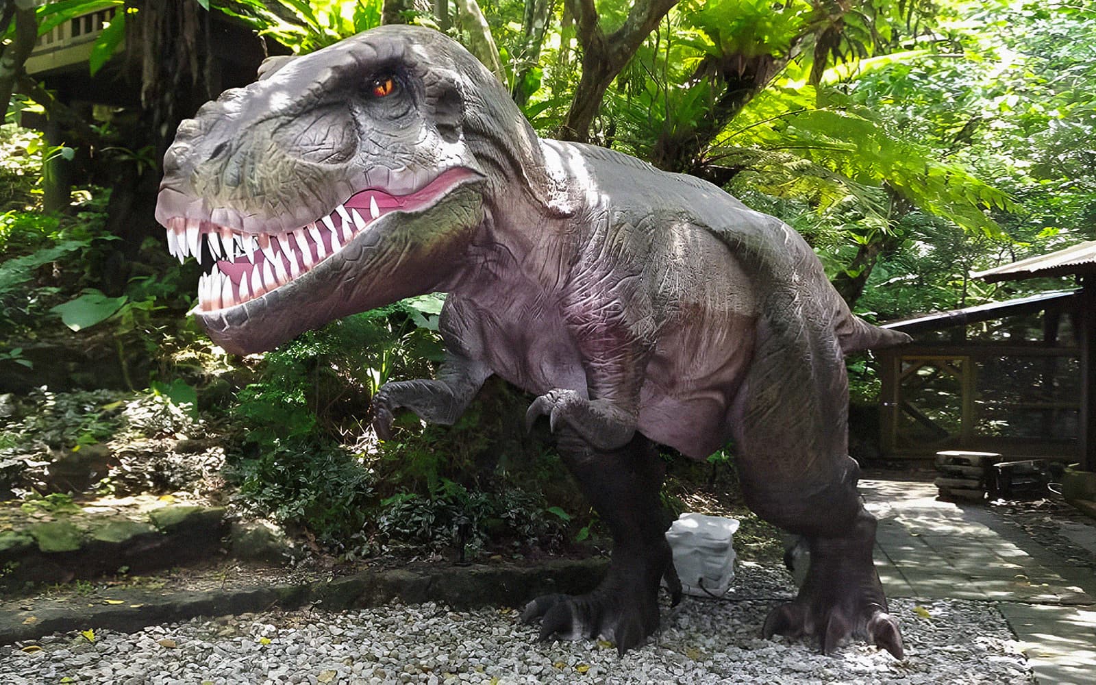 Dino Park Yanbaru Subtropical Forest Admission Ticket in Okinawa