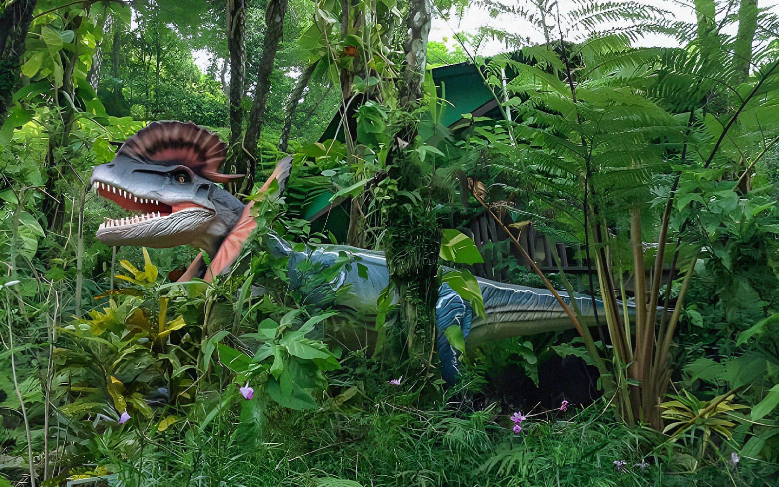 Dino Park Yanbaru Subtropical Forest Admission Ticket in Okinawa in Okinawa - Activities | TickYourList