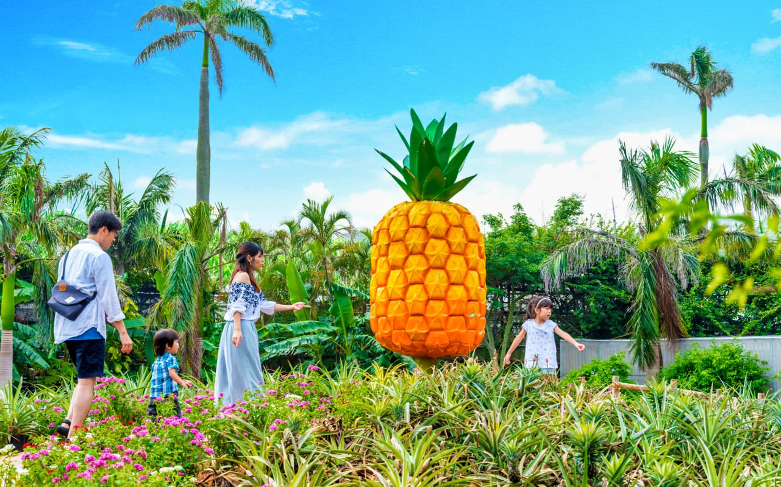 Nago Pineapple Park Tickets