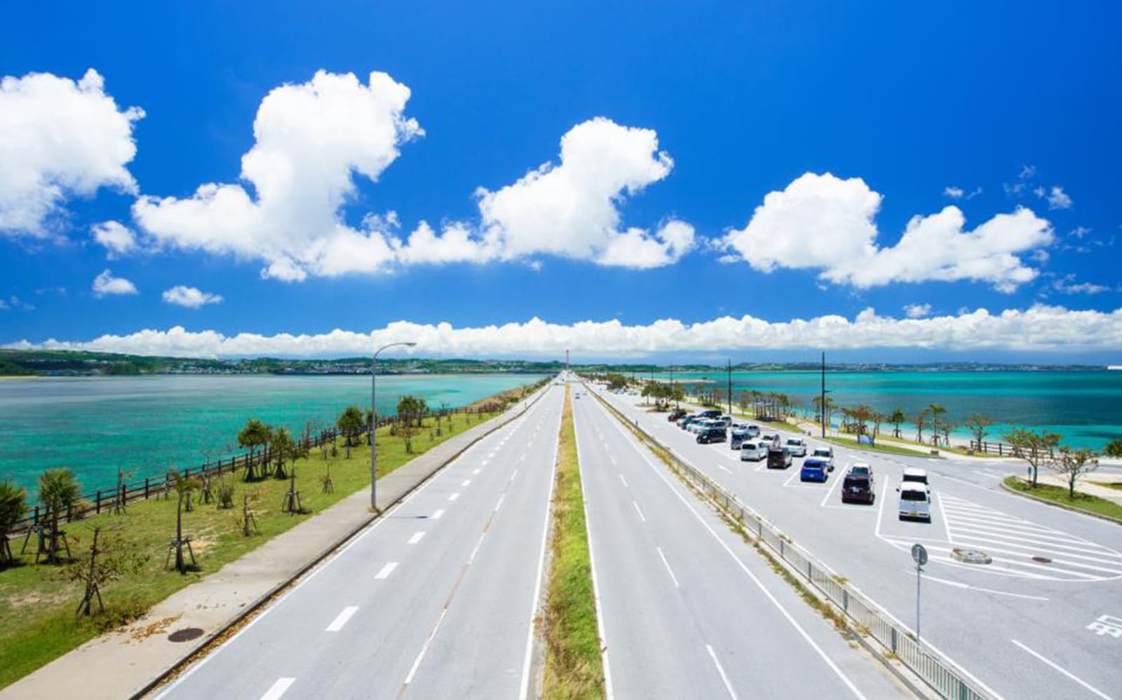 Okinawa Hip Hop Bus Tour: Churaumi Aquarium, Kouri Island, Cape Manza, Nago Pineapple Park tickets in Okinawa - Attractions | TickYourList