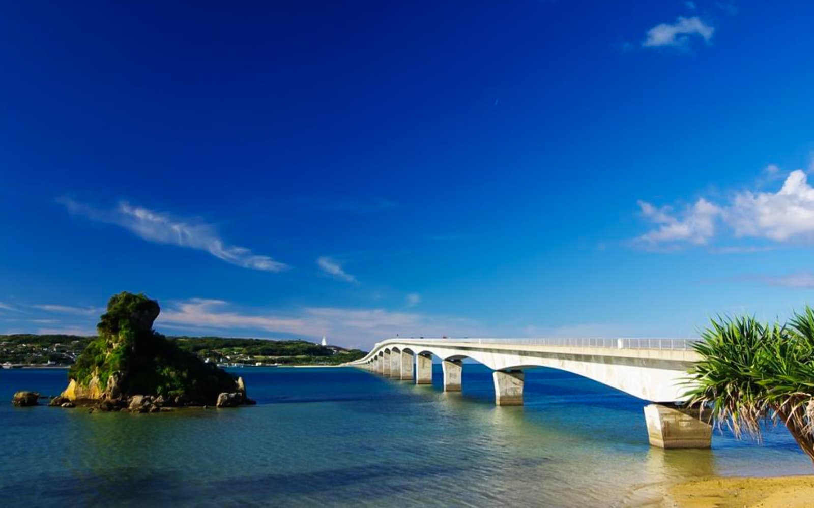 Okinawa Hip Hop Bus Tour: Churaumi Aquarium, Kouri Island, Cape Manza, Nago Pineapple Park tickets in Okinawa - Highlights | TickYourList