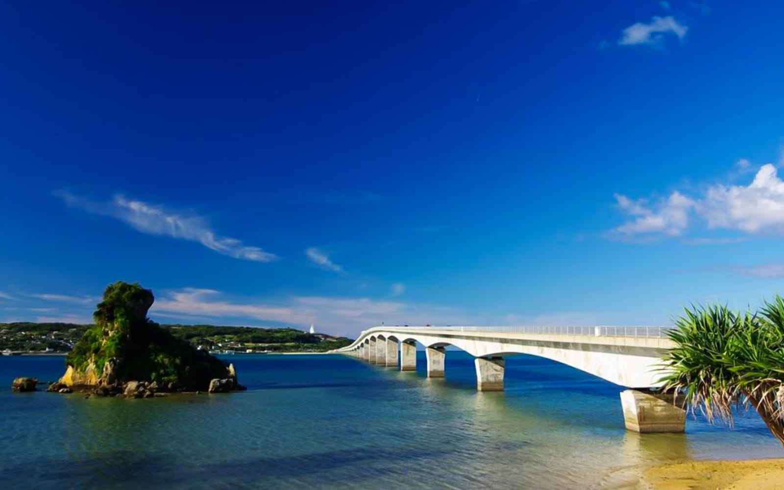Okinawa Hip Hop Bus Tour: Churaumi Aquarium, Kouri Island, Cape Manza, Nago Pineapple Park tickets in Okinawa - Highlights | TickYourList
