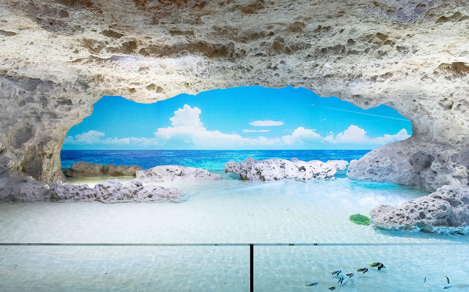 DMM Kariyushi Aquarium Admission Ticket