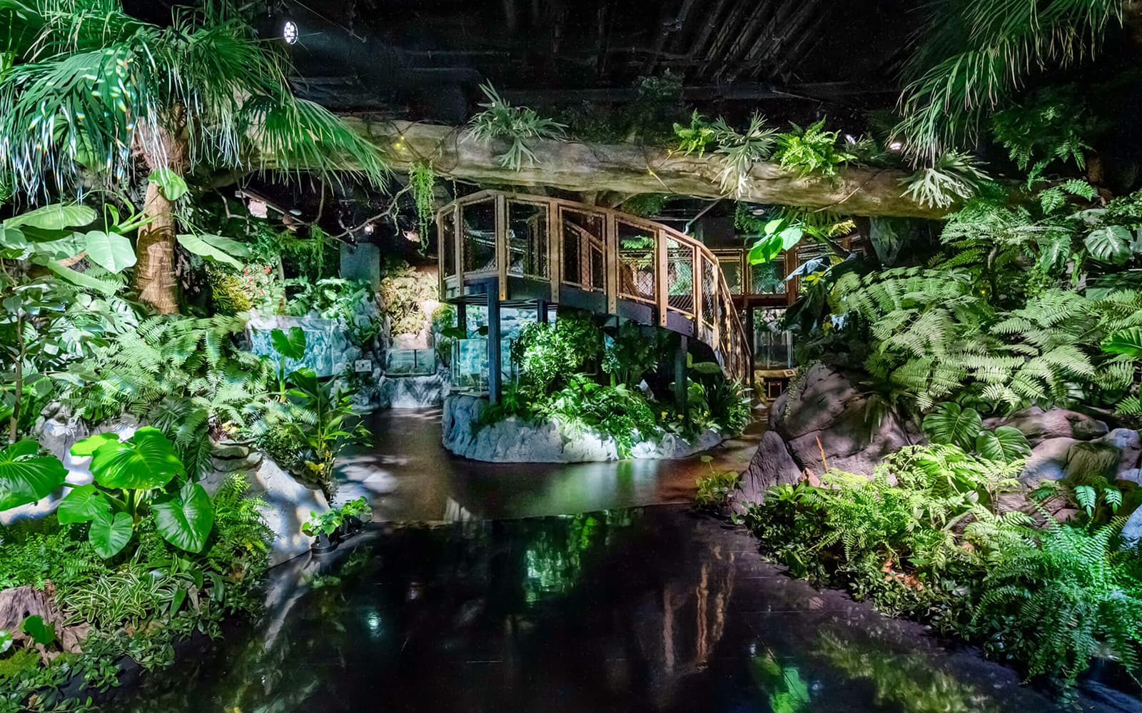 DMM Kariyushi Aquarium Admission Ticket in Okinawa - Full Experience | TickYourList