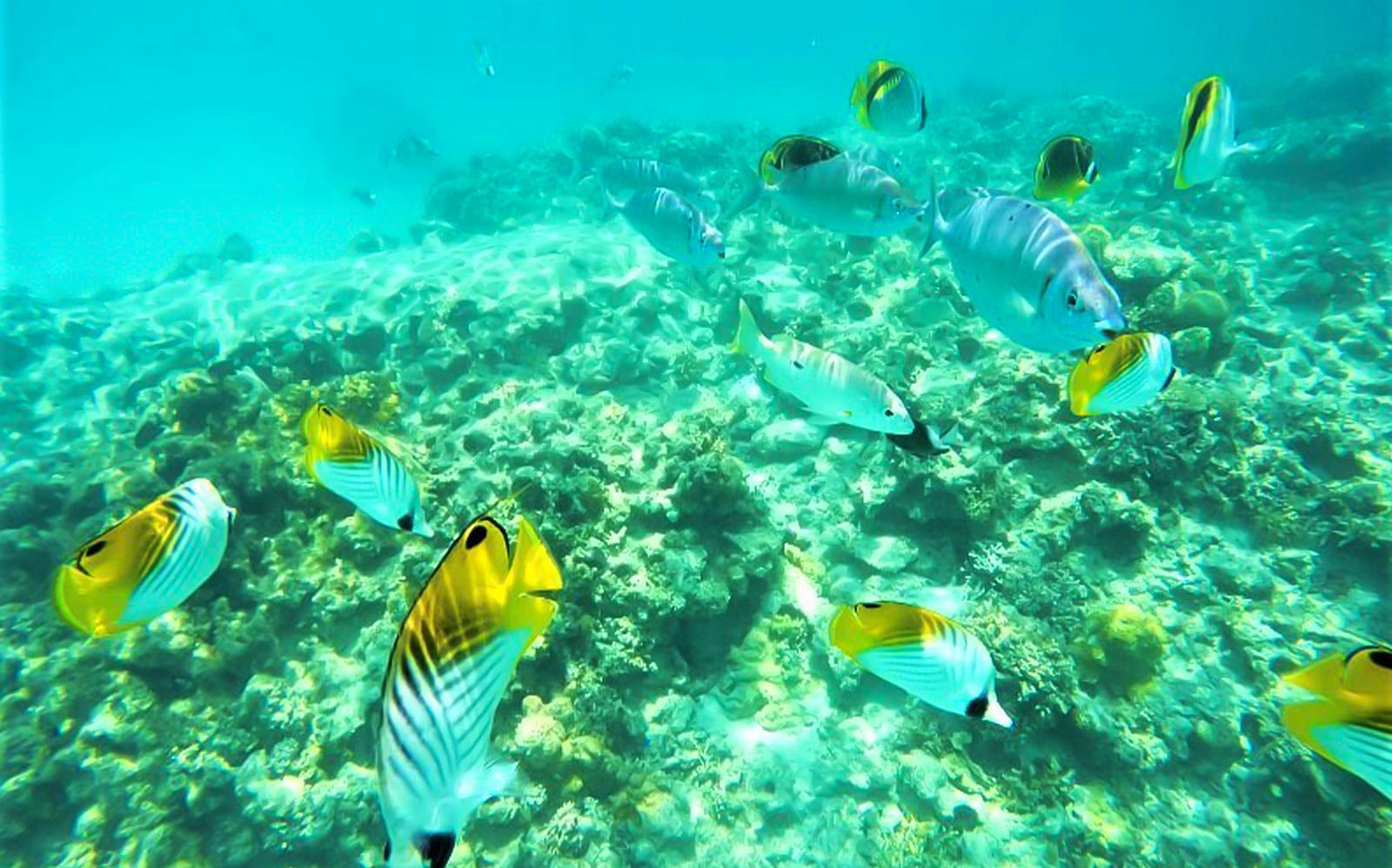 Aharen Beach Sea-Bathing Tour tickets in Okinawa - Highlights | TickYourList