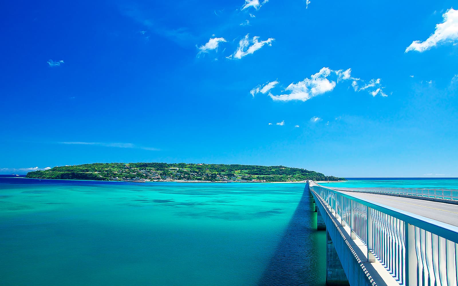1 Day Sightseeing Bus Tour of Okinawa with Ryukyu Village