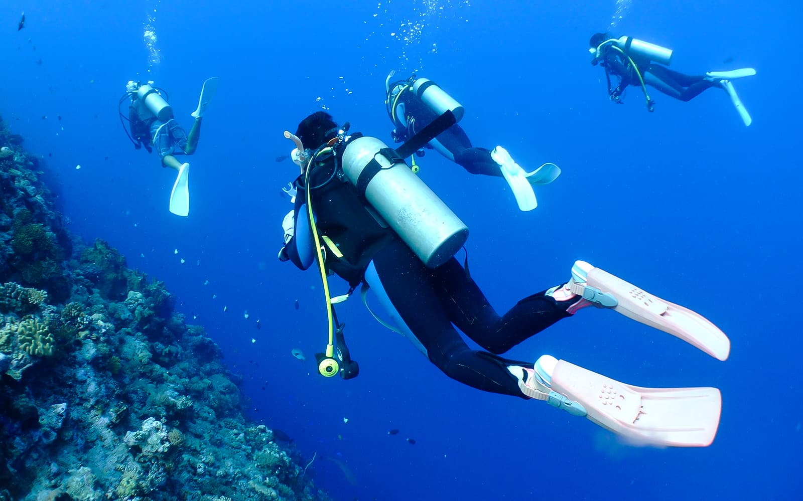 3-Point Snorkeling or Diving Tour at Kerama Islands tickets in Okinawa - Activities | TickYourList