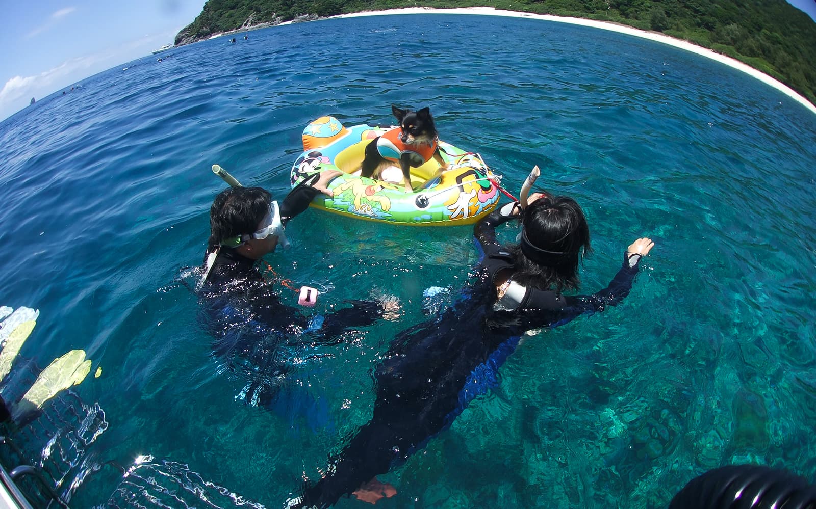 3-Point Snorkeling or Diving Tour at Kerama Islands tickets in Okinawa - Highlights | TickYourList
