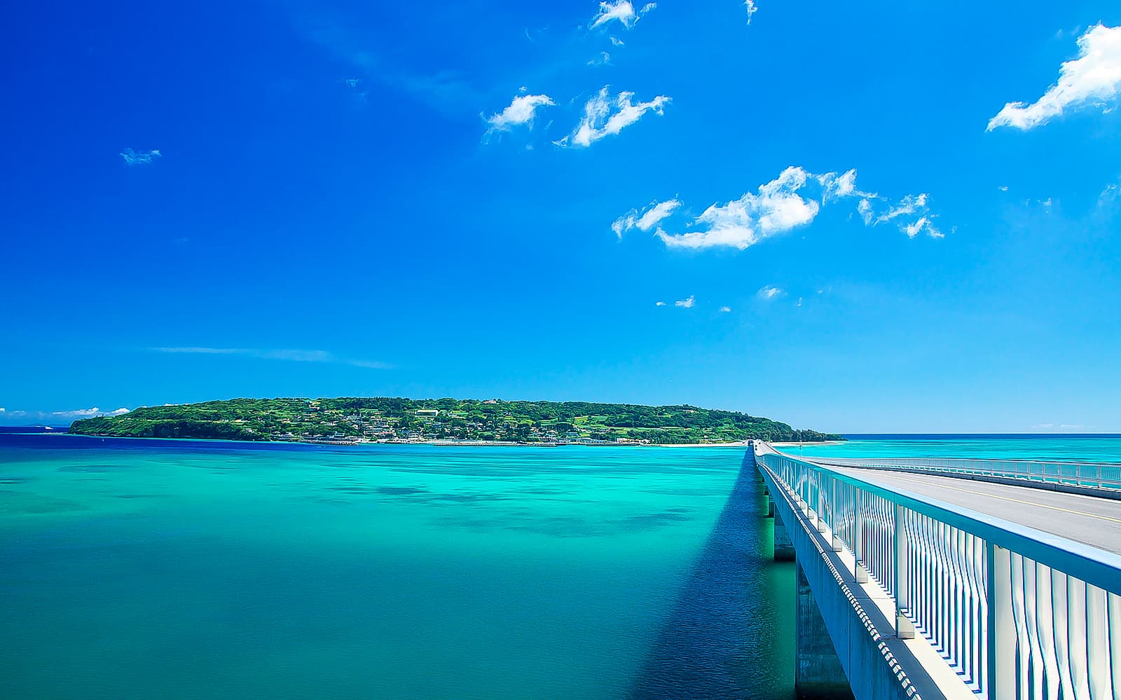 1 Day Sightseeing Bus Tour of Okinawa with American Village
