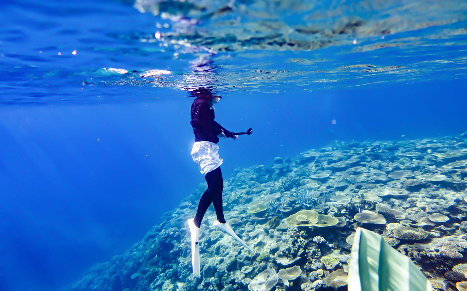 Half Day Guided Snorkeling Tour in Kerama Chibishi Island with Optional Parasail tickets in Okinawa - Attractions | TickYourList