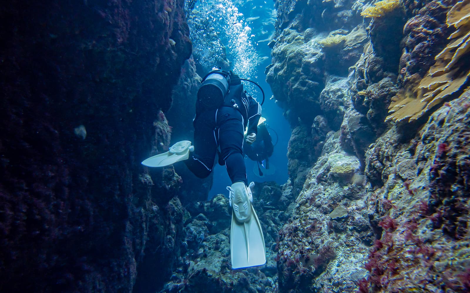 Half Day Guided Snorkeling Tour in Kerama Chibishi Island with Optional Parasail tickets in Okinawa - Activities | TickYourList