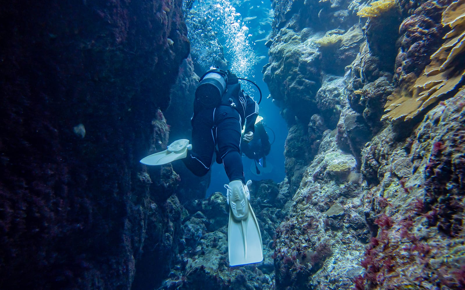 Half Day Guided Snorkeling Tour in Kerama Chibishi Island with Optional Parasail tickets in Okinawa - Activities | TickYourList