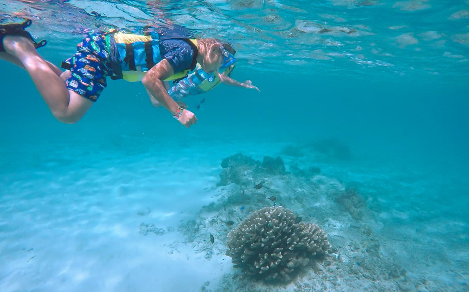 Seabathing Tour at Tokashiku Beach tickets in Okinawa - Features | TickYourList