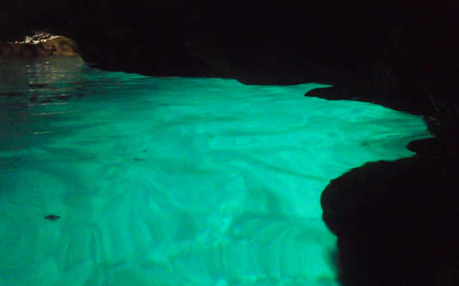 Blue Cave Scuba Diving tickets in Okinawa - Activities | TickYourList