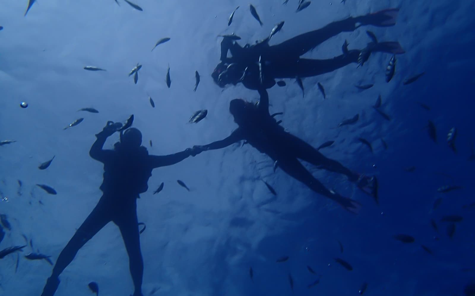 Blue Cave Scuba Diving tickets in Okinawa - Full Experience | TickYourList