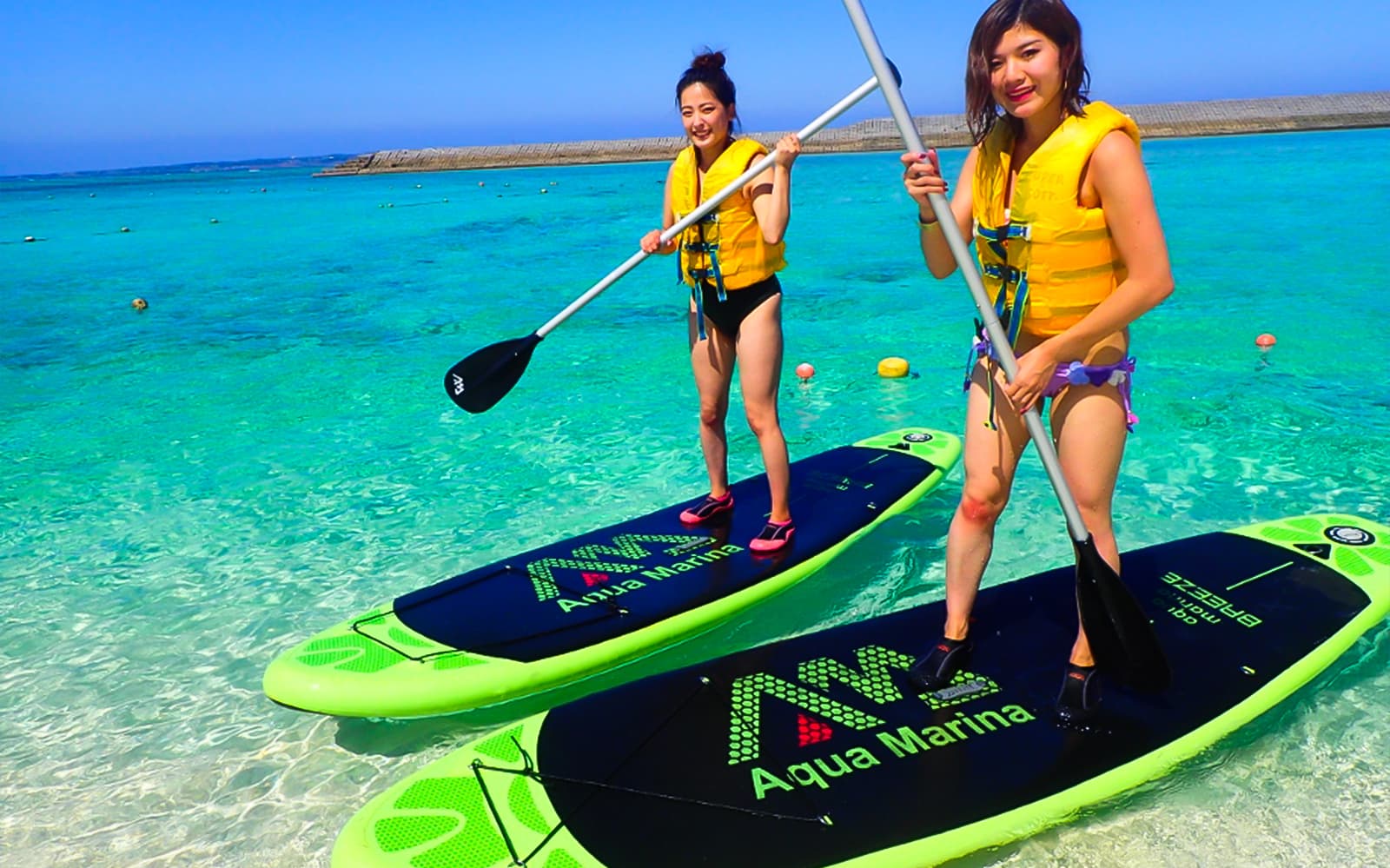 Day Trip to Minna Island with Lunch tickets in Okinawa - Features | TickYourList
