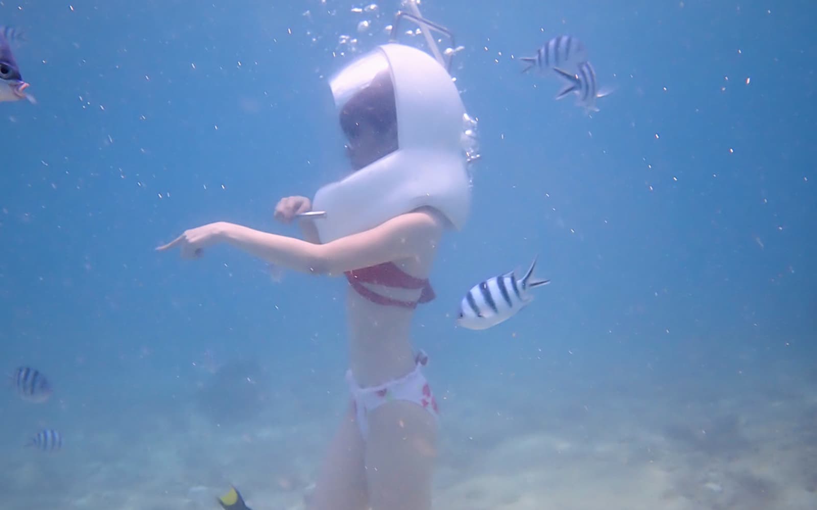 Okinawa Marine Park tickets in Okinawa - Attractions | TickYourList