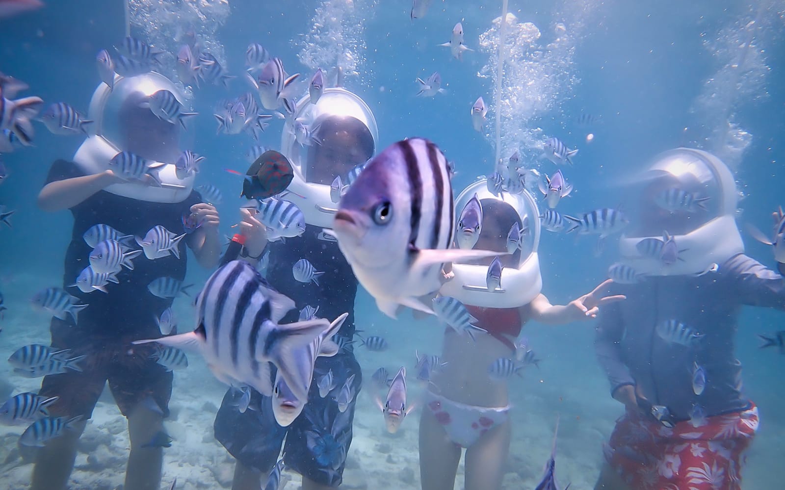 Okinawa Marine Park tickets in Okinawa - Activities | TickYourList