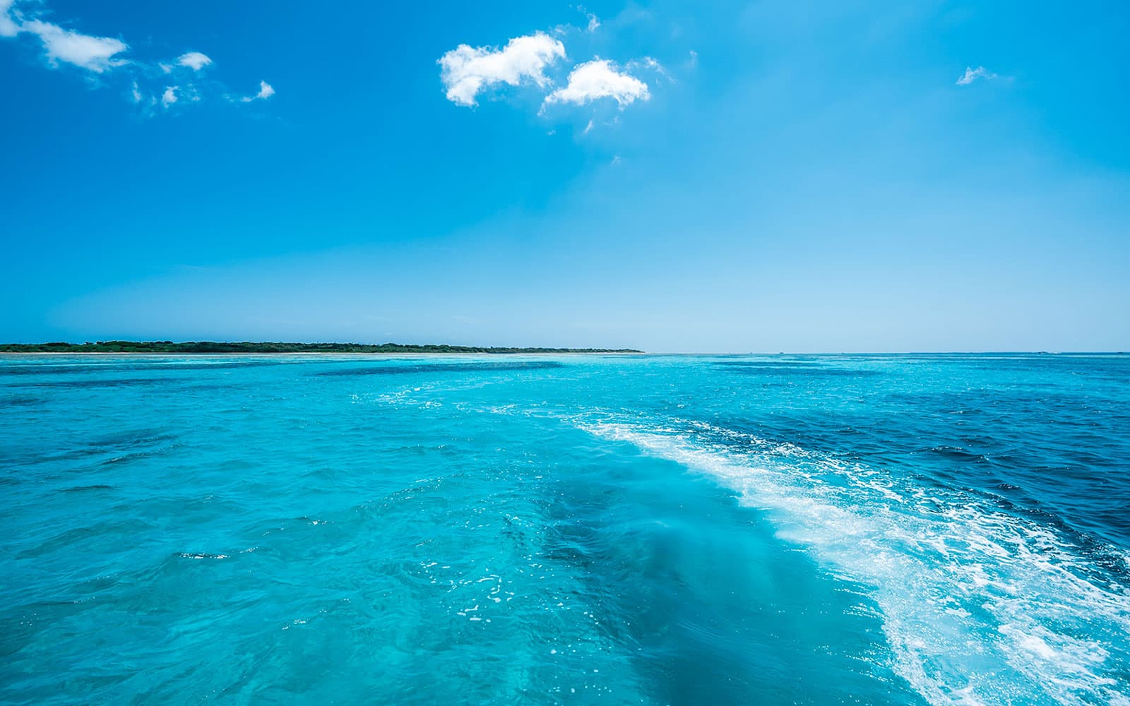 3-Hr Premium Cruise on Ishigaki Green Sea with Snorkeling tickets in Okinawa - Features | TickYourList