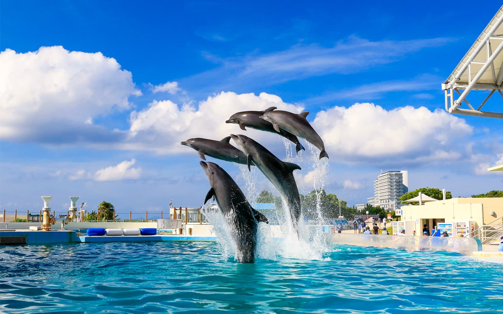 Okinawa Hip Hop Bus Tour with Churaumi Aquarium, Glass Boat Ride & American Village tickets in Okinawa - Highlights | TickYourList
