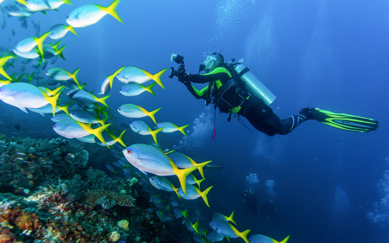 Okinawa Scuba Diving Tickets in Okinawa - Attractions | TickYourList