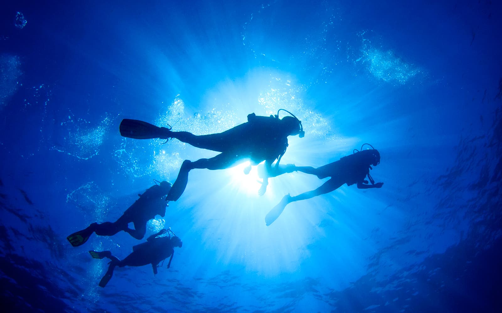 Okinawa Scuba Diving Tickets in Okinawa - Activities | TickYourList