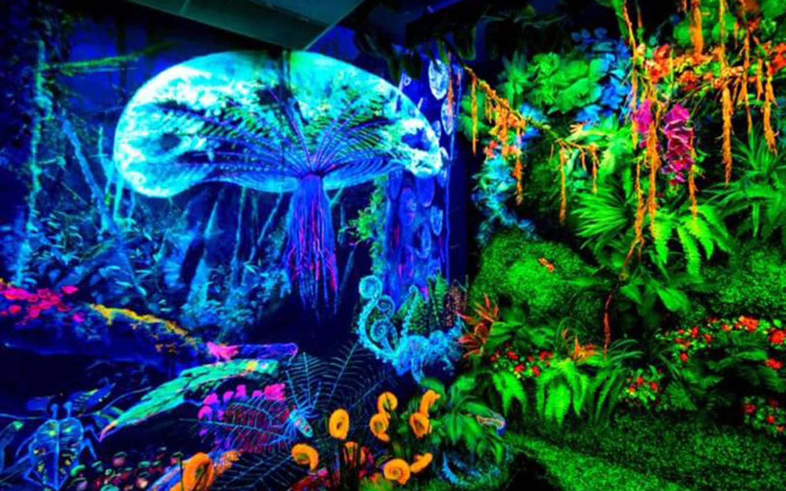 Dark Mansion Museum tickets in Penang - Attractions | TickYourList