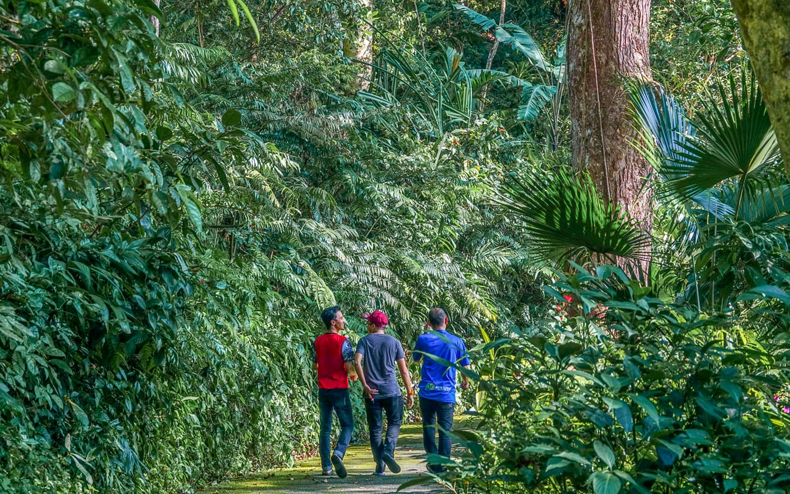 The Habitat Penang Hill Tickets in Penang - Activities | TickYourList