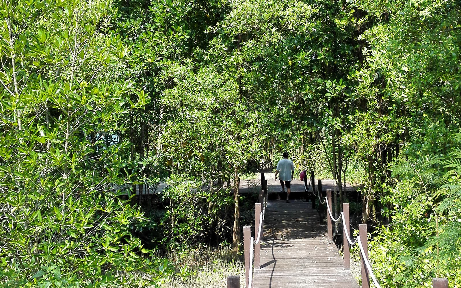 Half-day Guided Penang Countryside Cycling Tour with Transfer