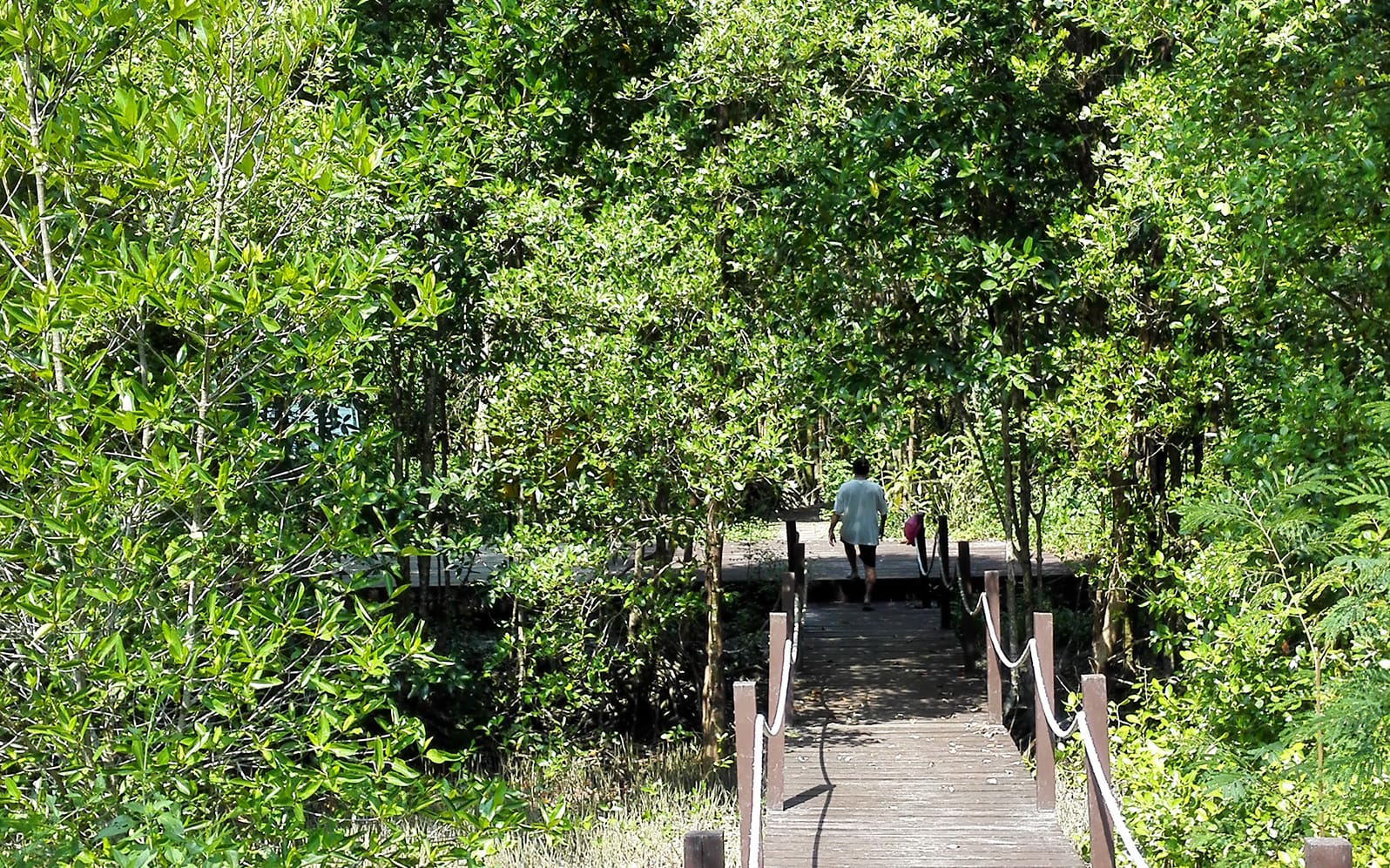 Half-day Guided Penang Countryside Cycling Tour with Transfer experience tickets in Penang | TickYourList