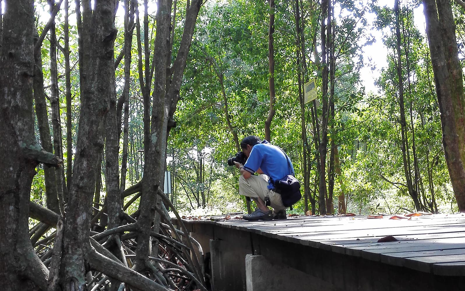 Half-day Guided Penang Countryside Cycling Tour with Transfer tickets in Penang - Attractions | TickYourList