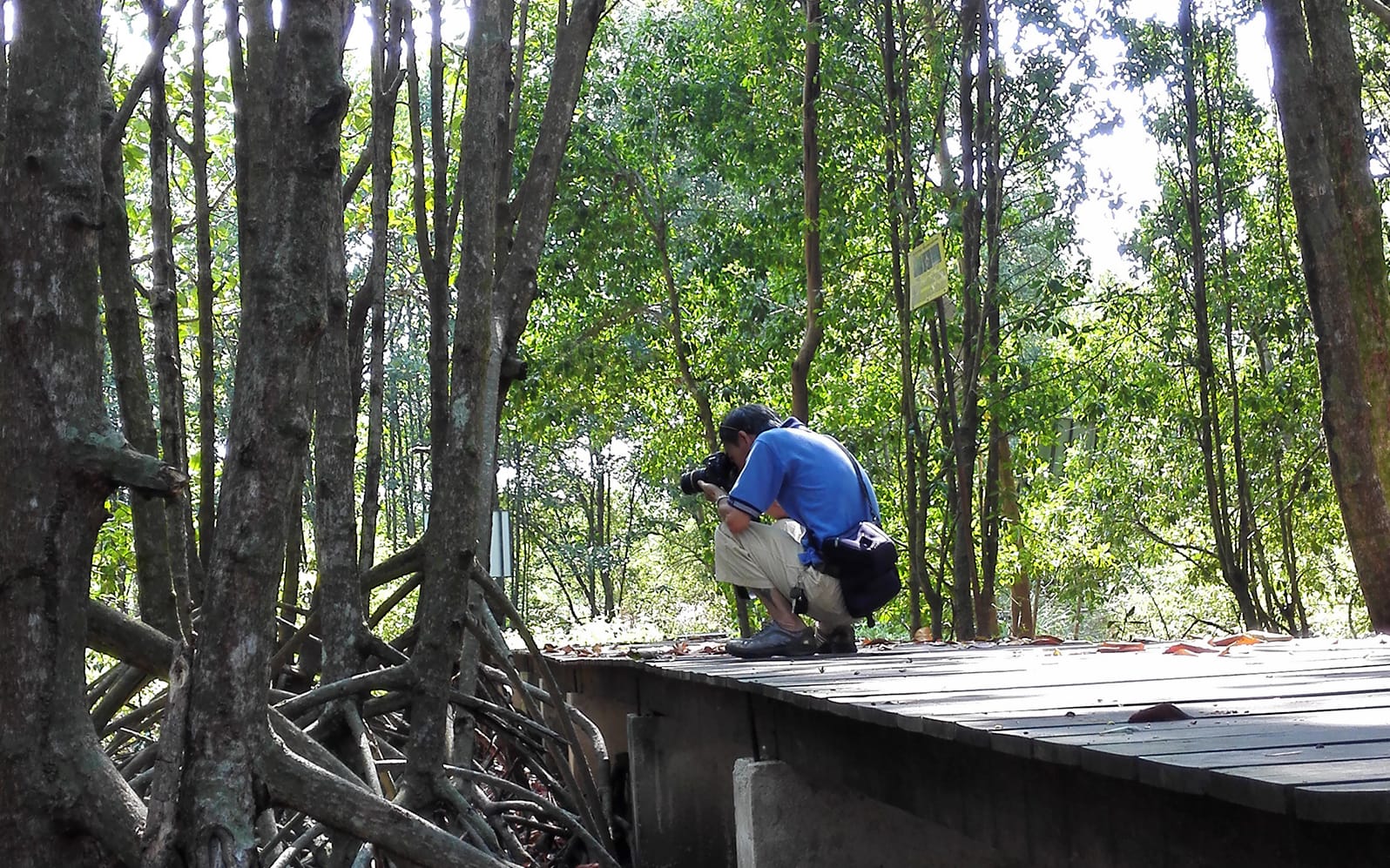 Half-day Guided Penang Countryside Cycling Tour with Transfer tickets in Penang - Attractions | TickYourList