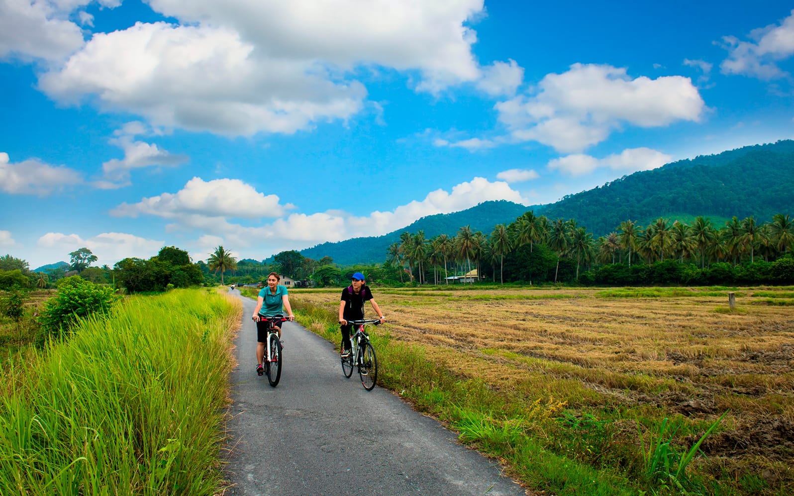 Half-day Guided Penang Countryside Cycling Tour with Transfer tickets in Penang - Explore More | TickYourList