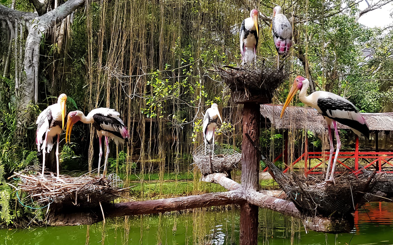 Penang Bird Park Ticket