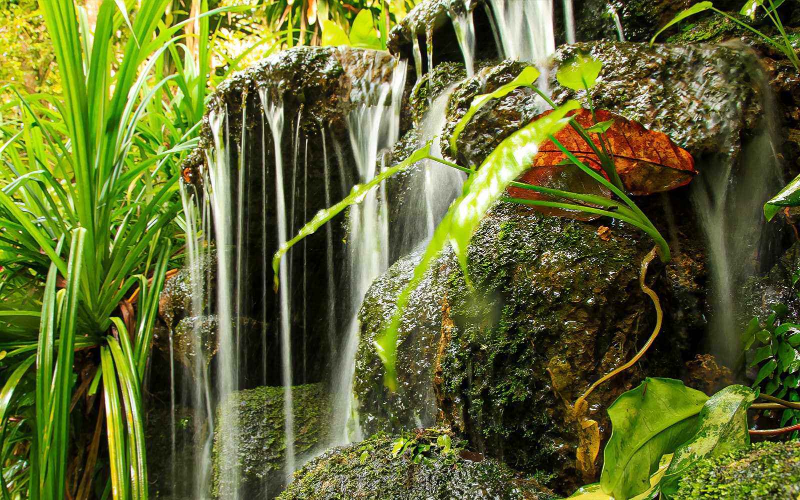 Tickets to Tropical Spice Garden Penang in Penang - Highlights | TickYourList