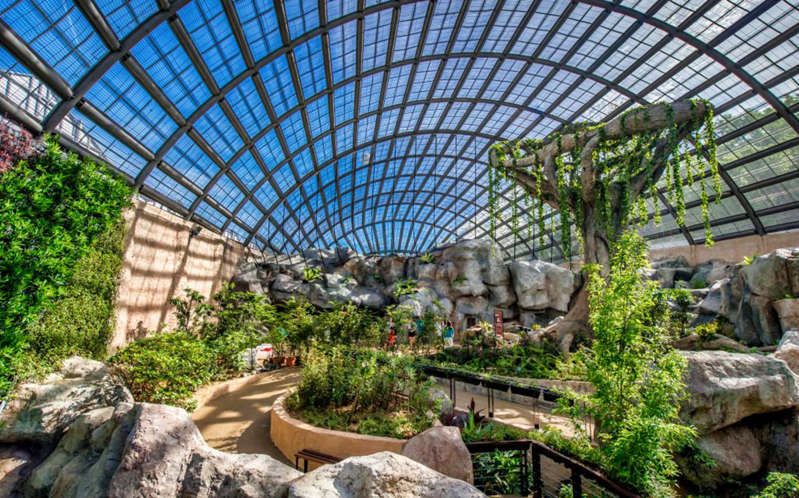 Combo (Save 5%): Entopia by Penang Butterfly Farm + ESCAPE Penang Tickets in Penang - Attractions | TickYourList